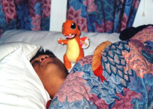 ryanz sleepin.. watz that charzard and 'snake' doin there
